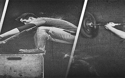 ENTRENAMIENTO TOTAL Y FUERZA BASE